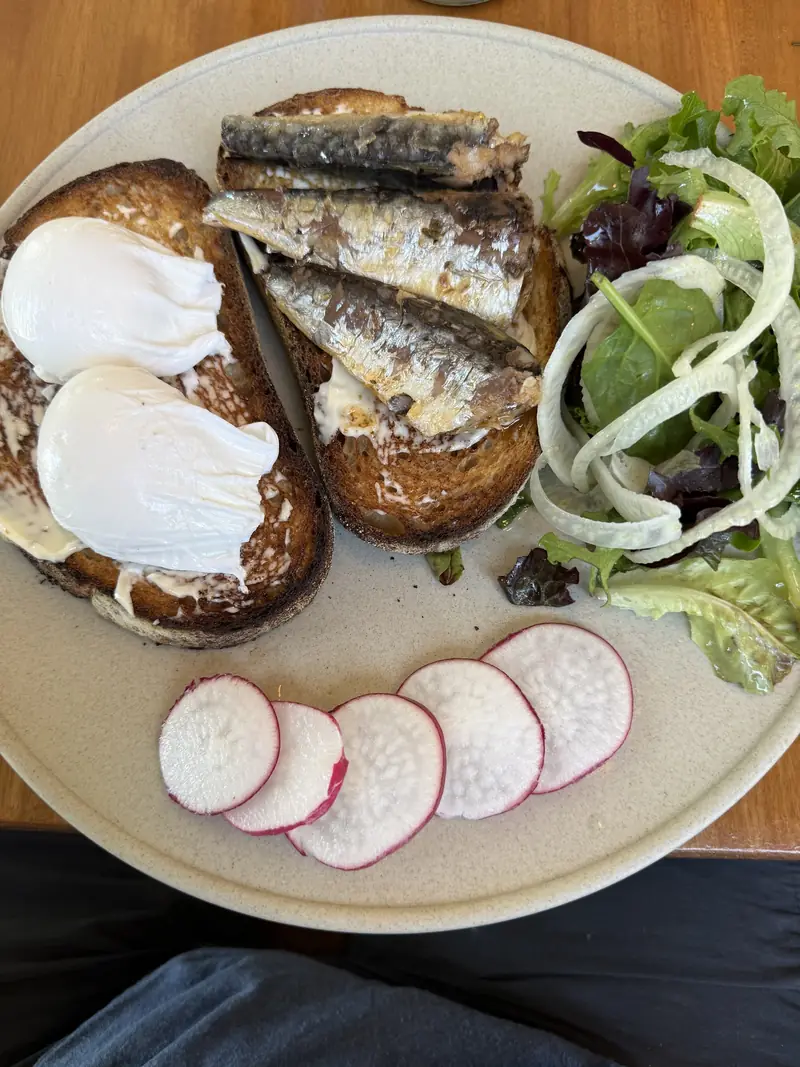 Sardines and poached eggs on toast with radish and a green salad